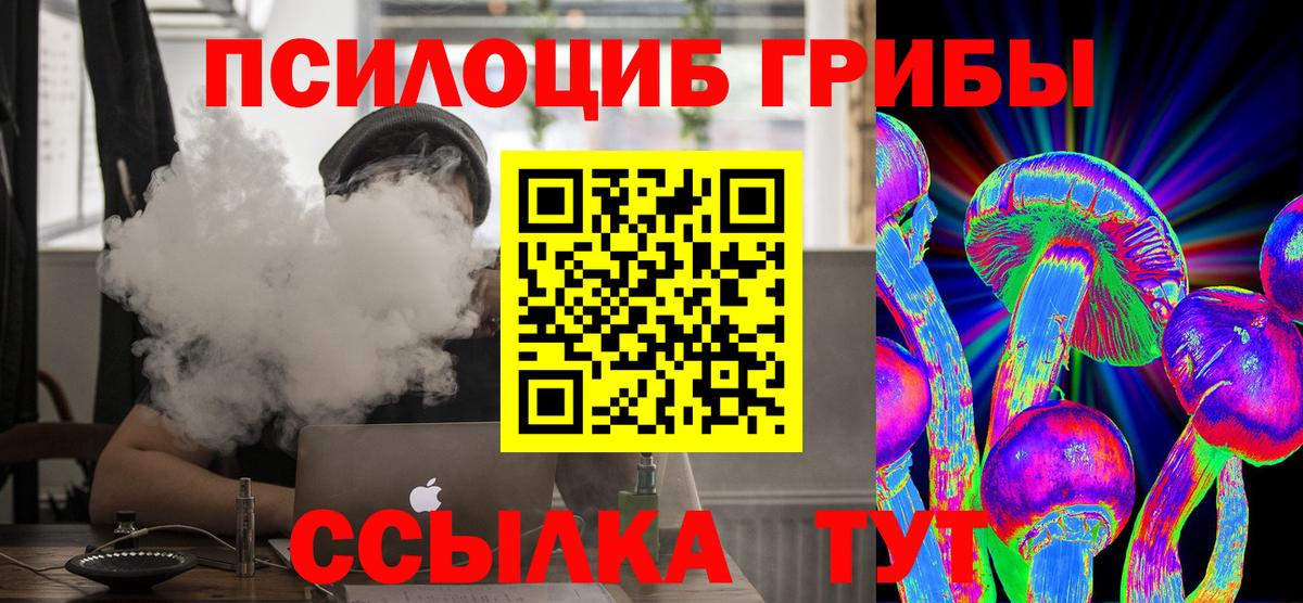 Псилоцибиновые грибы MAGIC MUSHROOMS  Галлюциногенные грибы прущие грибы  наркошоп  Кизляр  Вход с VPN 