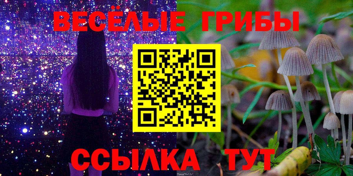 Псилоцибиновые грибы MAGIC MUSHROOMS Кизляр