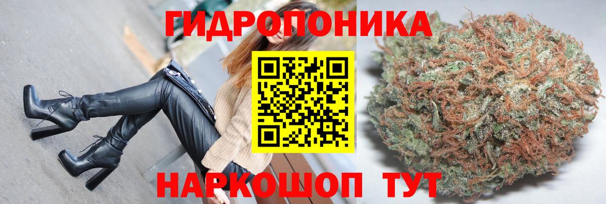 Бошки марихуана VHQ  Канабис планчик  Марихуана ГИДРОПОН  Вход с VPN  Шишки марихуана MAZAR  Кизляр 